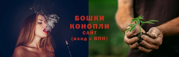стафф Козельск