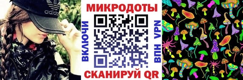 Псилоцибиновые грибы Psilocybe  МЕГА ссылка  Кораблино 